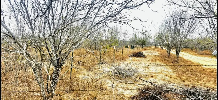 OUT OF AREA, Crystal, TX 78839 - #2