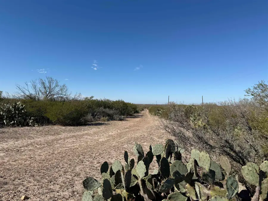 1862 Las Pilas Rd., Laredo, TX 78045 - Image #2