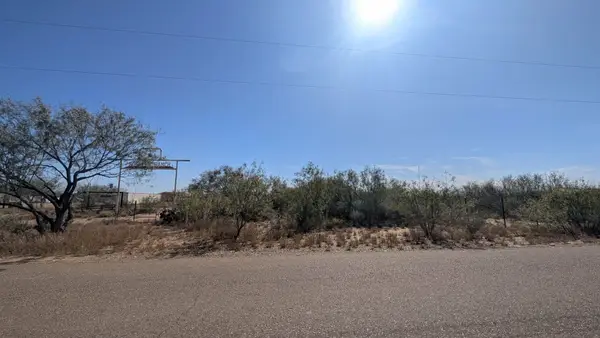 197 Rancho Pila Rd, Laredo, TX 78045