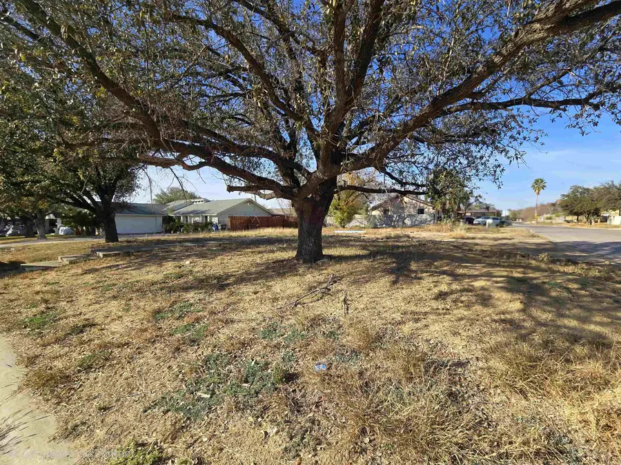 1514 Hibiscus Ln, Laredo, TX 78041 - Image #3