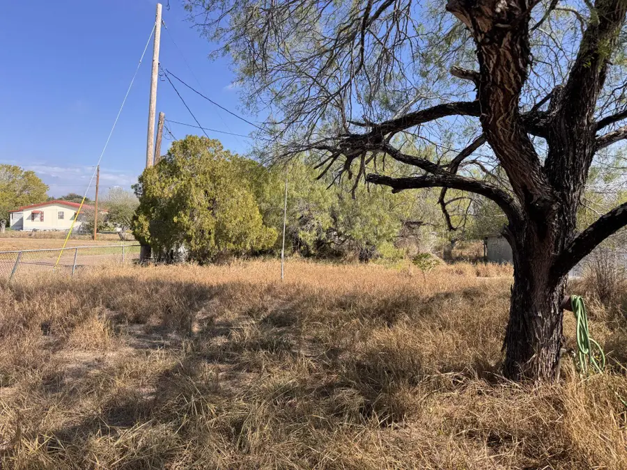 1604 Siesta Ln, Zapata, TX 78076 - #2