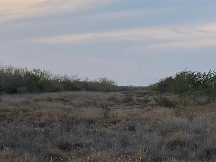 007 Ranch Rd, Encinal, TX 78019 - Image #3