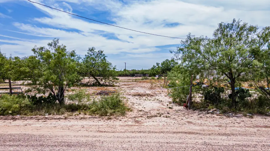 105 E Meirs St., Laredo, TX 78043 - #3