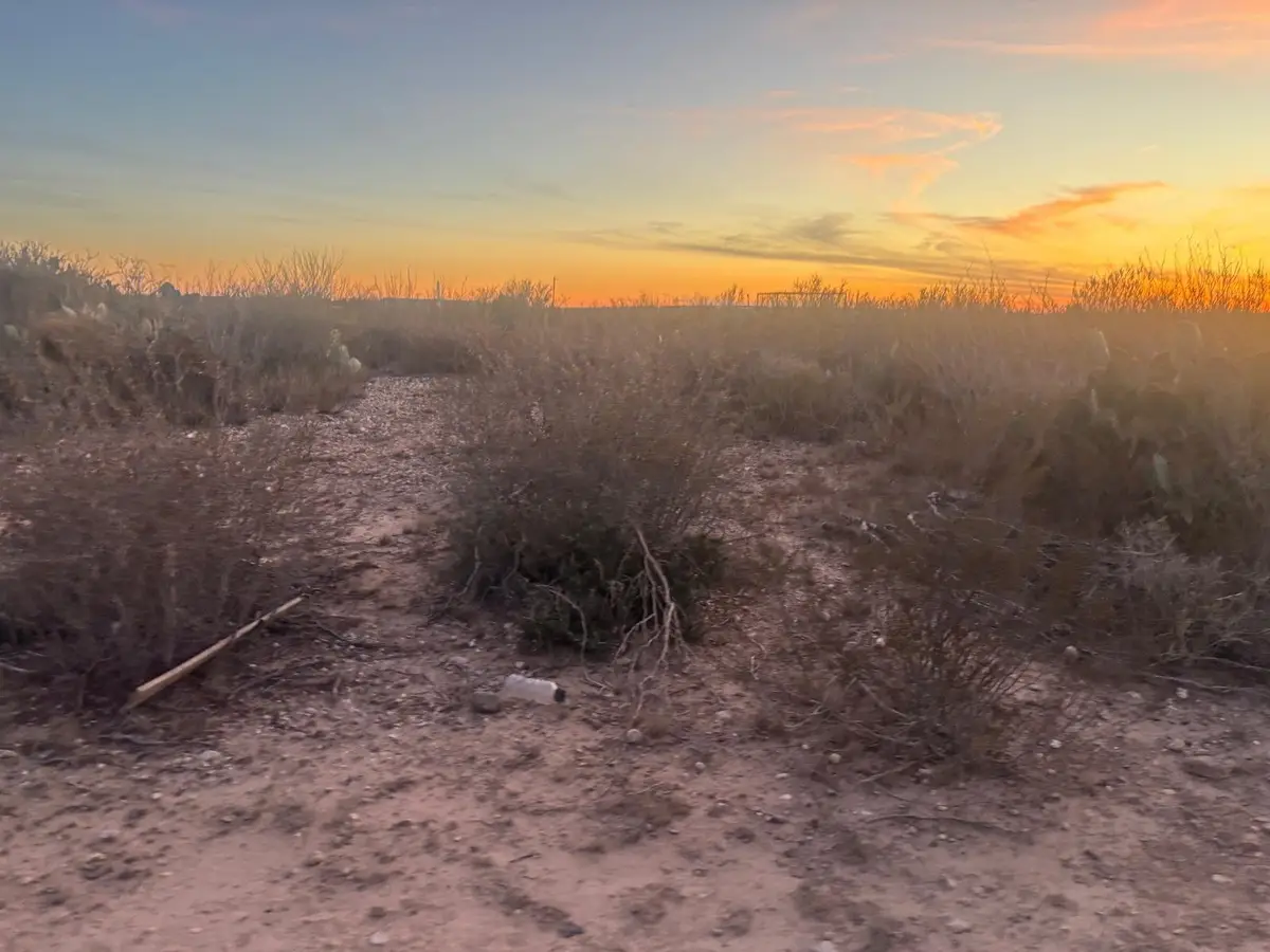 166 Camino Sierra Rd., Laredo, TX 78043 - #1