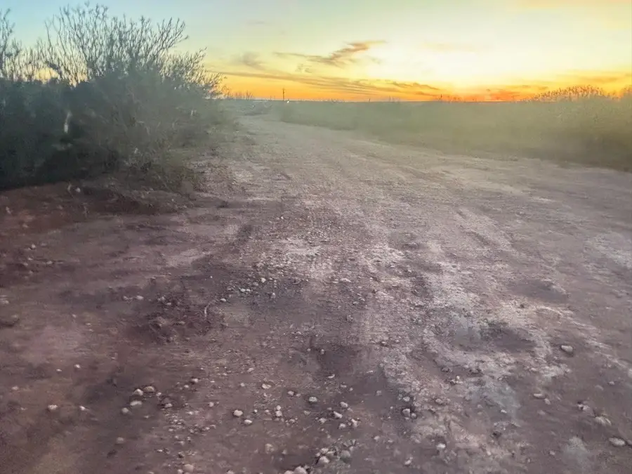 166 Camino Sierra Rd., Laredo, TX 78043 - #2