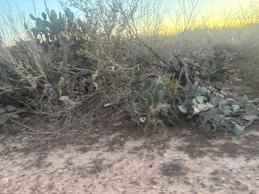 166 Camino Sierra Rd., Laredo, TX 78043 - #3