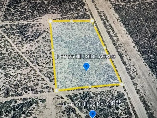 LOT 25 Las Pilas Rd., Laredo, TX 78043 - #1