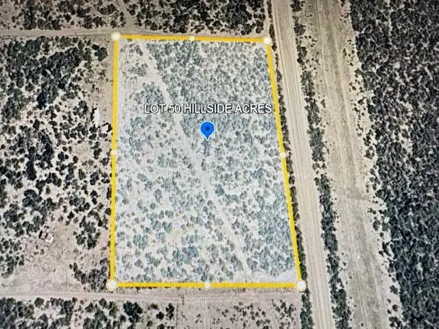 LOT 50 Las Pilas Rd., Laredo, TX 78043 - #1