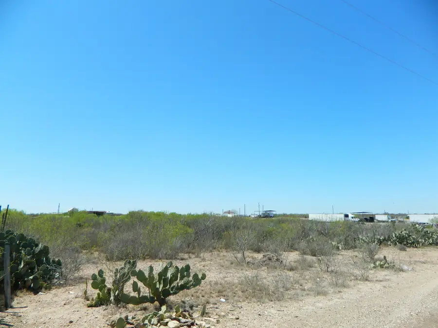 Lot 100 Ranchitos Los Fresnos, Laredo, TX 78043 - #2