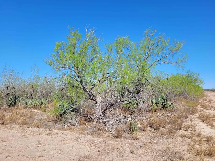 385 Ranch Road 7074C, Laredo, TX 78043 - #3