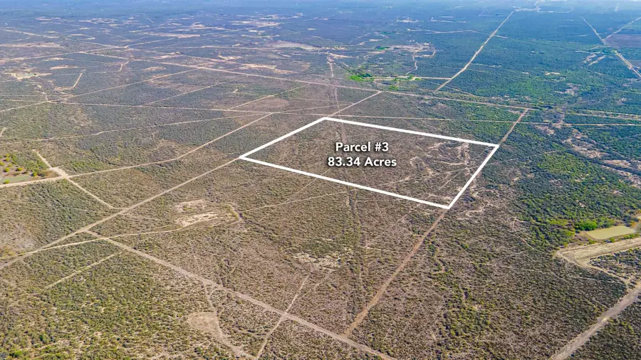Parcel 3 ABST 209 J V Borrego, Zapata, TX 00000 - #2