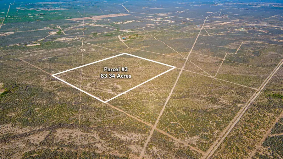 Parcel 3 ABST 209 J V Borrego, Zapata, TX 00000 - #3