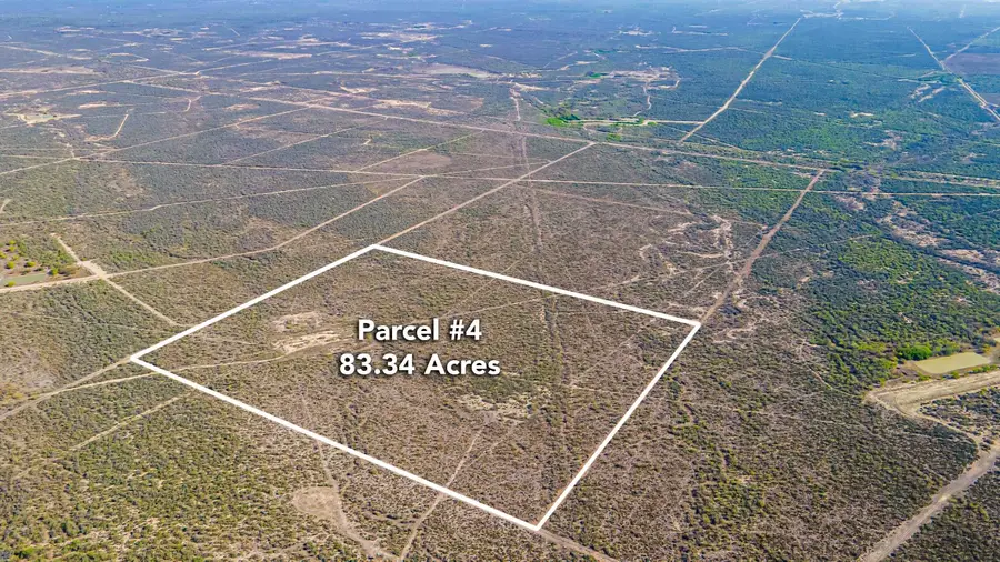 Parcel 4 ABST 209 J V Borrego, Zapata, TX 00000 - #2