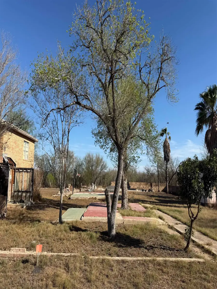 1023 Avenue G, Bruni, TX 78355 - #2