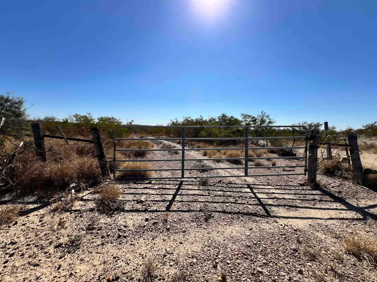 Alejandrenas Rd, Zapata, TX 78076 - #1