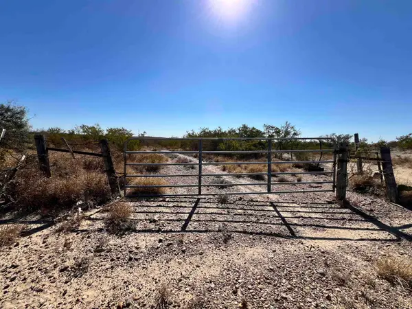 Alejandrenas Rd, Zapata, TX 78076