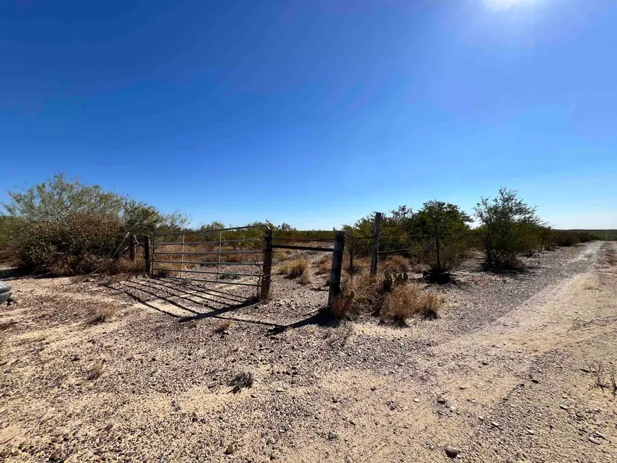 Alejandrenas Rd, Zapata, TX 78076 - #2