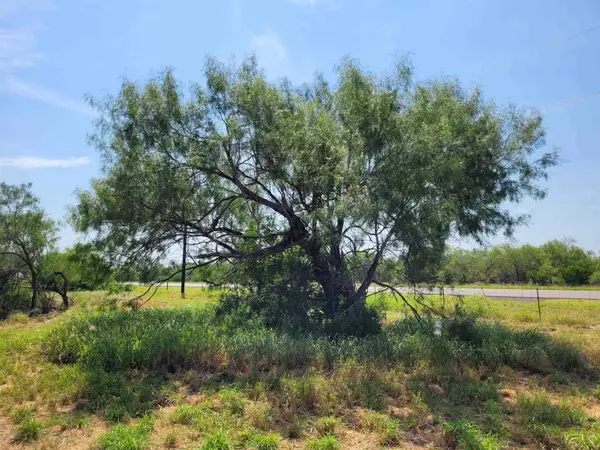 1002 U.S. Hwy 359, Aguilares, TX 78369