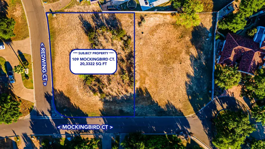 109 Mockingbird Ct, Laredo, TX 78045 - #2