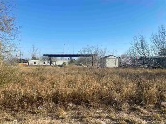 1410 Col. Antonio Zapata Avenue, Zapata, TX 78076 - #3