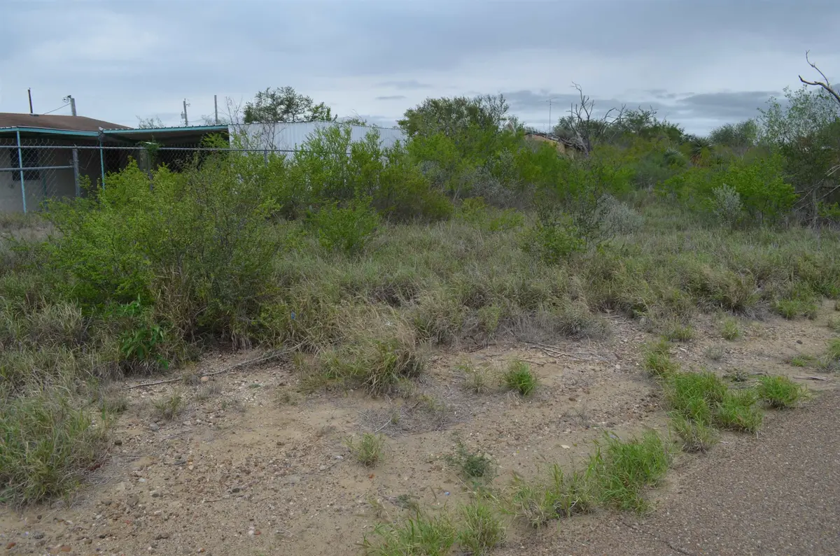 5115 Grande Lane, Zapata, TX 78076 - #1