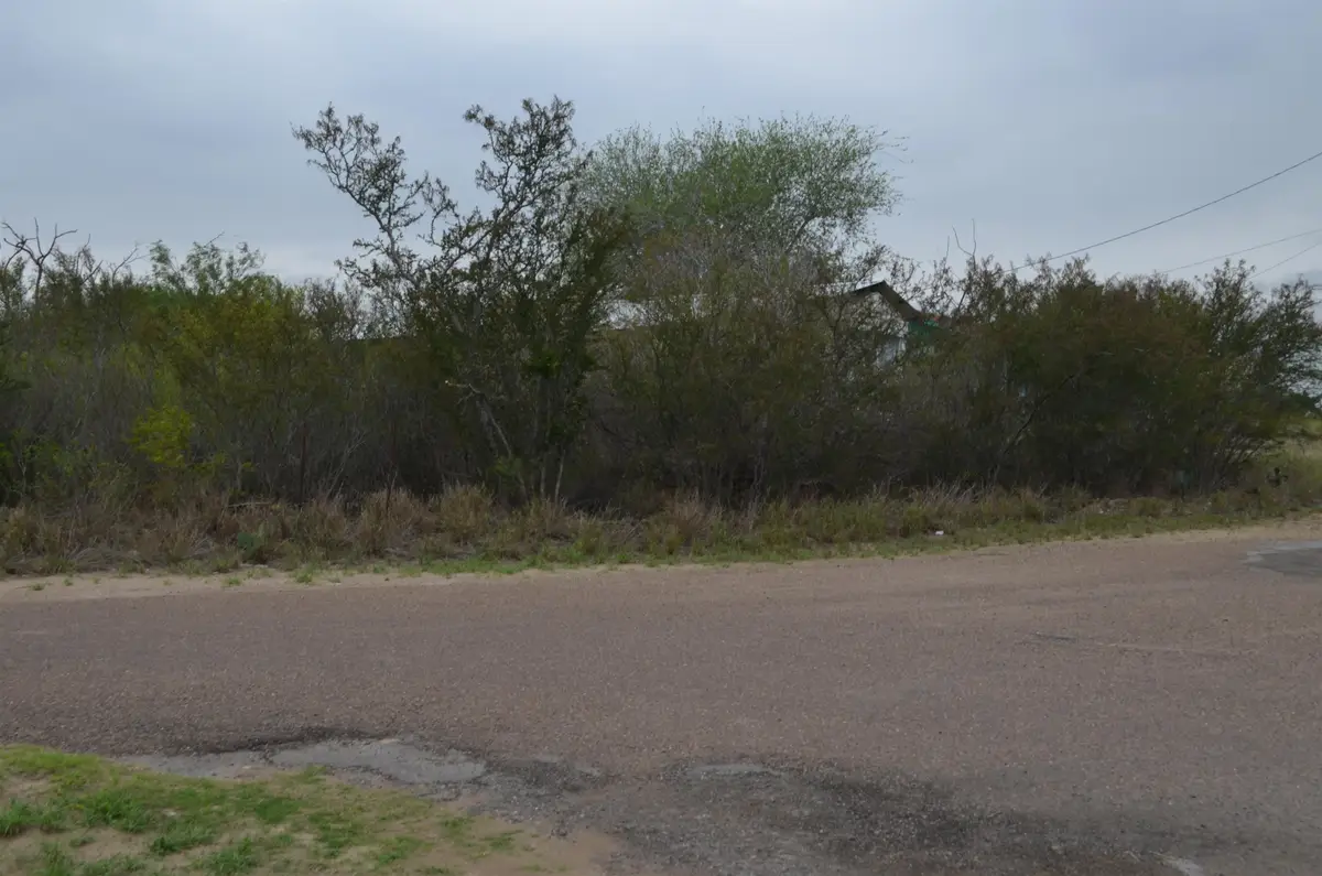5105 Grande Lane, Zapata, TX 78076 - #1
