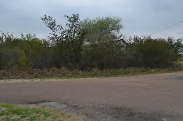 5105 Grande Lane, Zapata, TX 78076