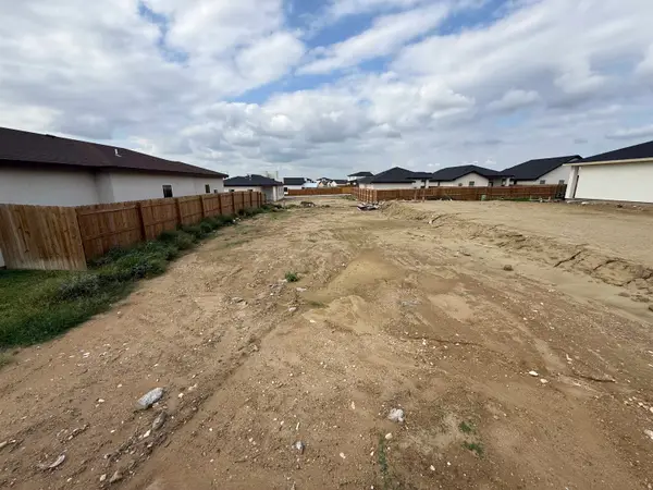 6002 Heather Loop, Laredo, TX 78043