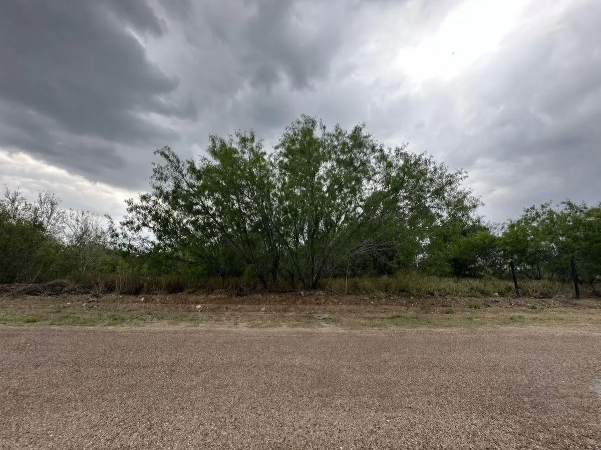 5417 Pety Ln, Zapata, TX 78076 - #1