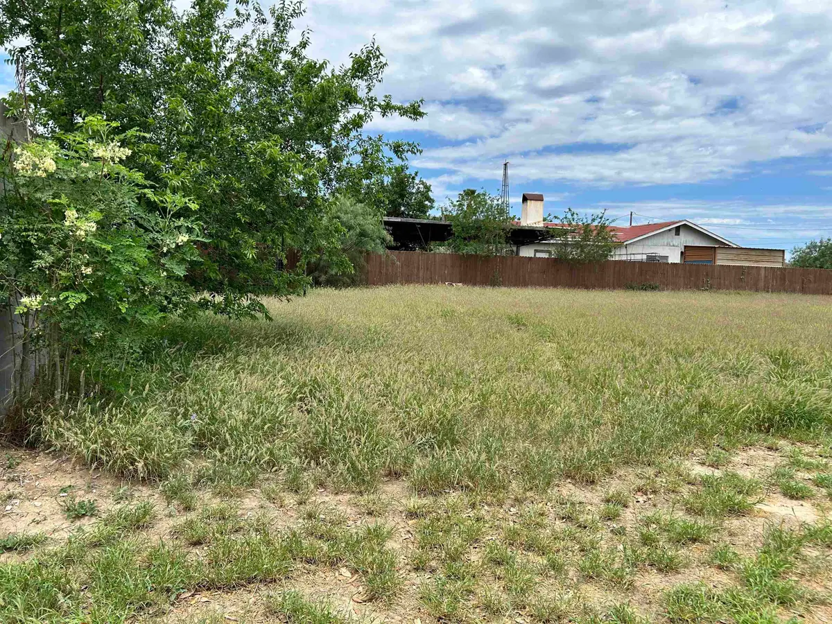 210 2nd St, Zapata, TX 78076 - #1