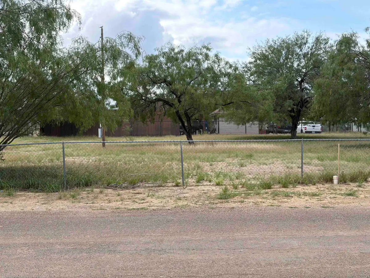 518 Hawk St., Zapata, TX 78076 - #1