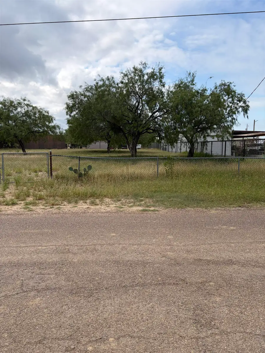 518 Hawk St., Zapata, TX 78076 - #2