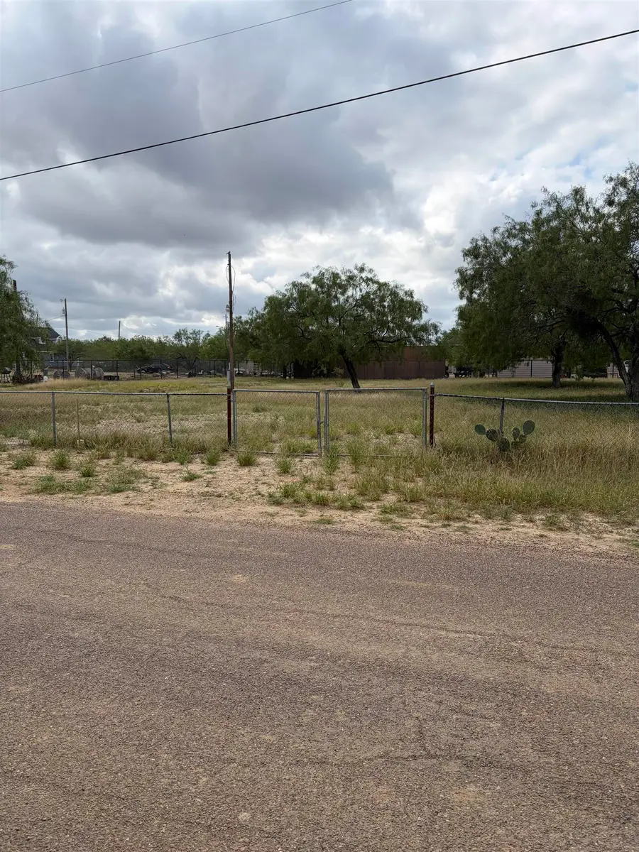 518 Hawk St., Zapata, TX 78076 - #3