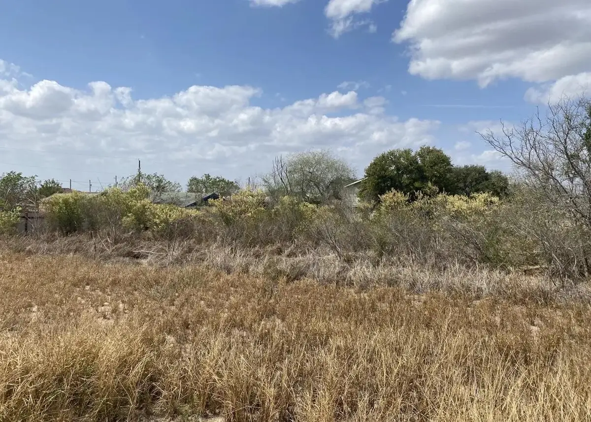 5409 Romeo Ln., Zapata, TX 78076 - #1