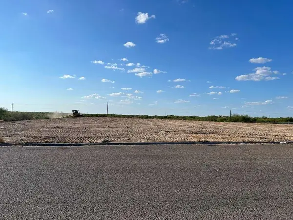 1018 Black Diamond St, laredo, TX 78045