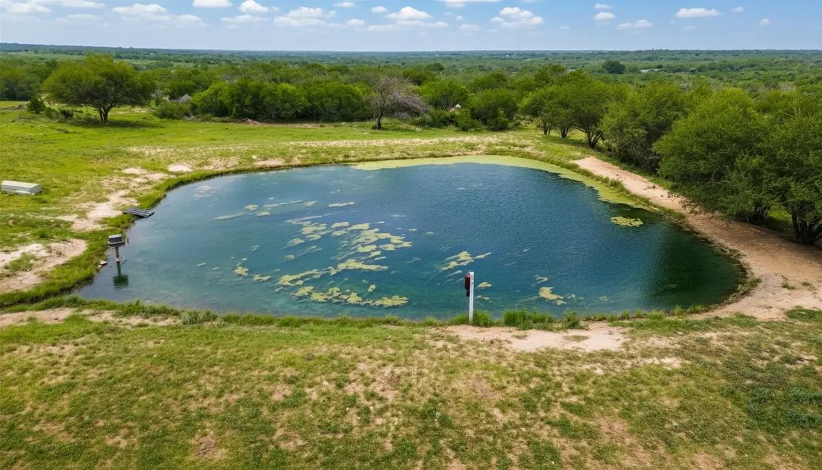 175 Ranch Road 8072C, Bruni, TX 78344-0072 - #1
