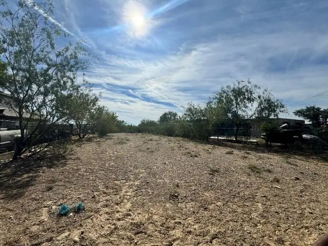 620 Hernandez, El Cenizo, TX 78046 - #3