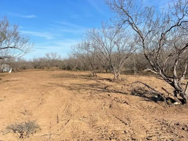 ABST 313 SUR, Laredo, TX 78045 - #2