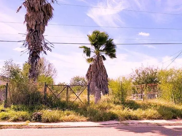 424 Morales, El Cenizo, TX 78046 - #1