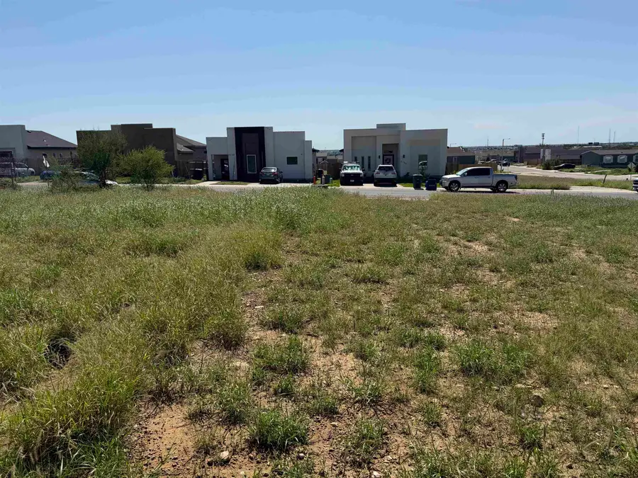 5205 Altea St., Laredo, TX 78046-7746 - #3