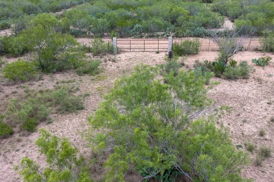 TRACT 16 Las Pilas Rd., Laredo, TX 78043 - #2