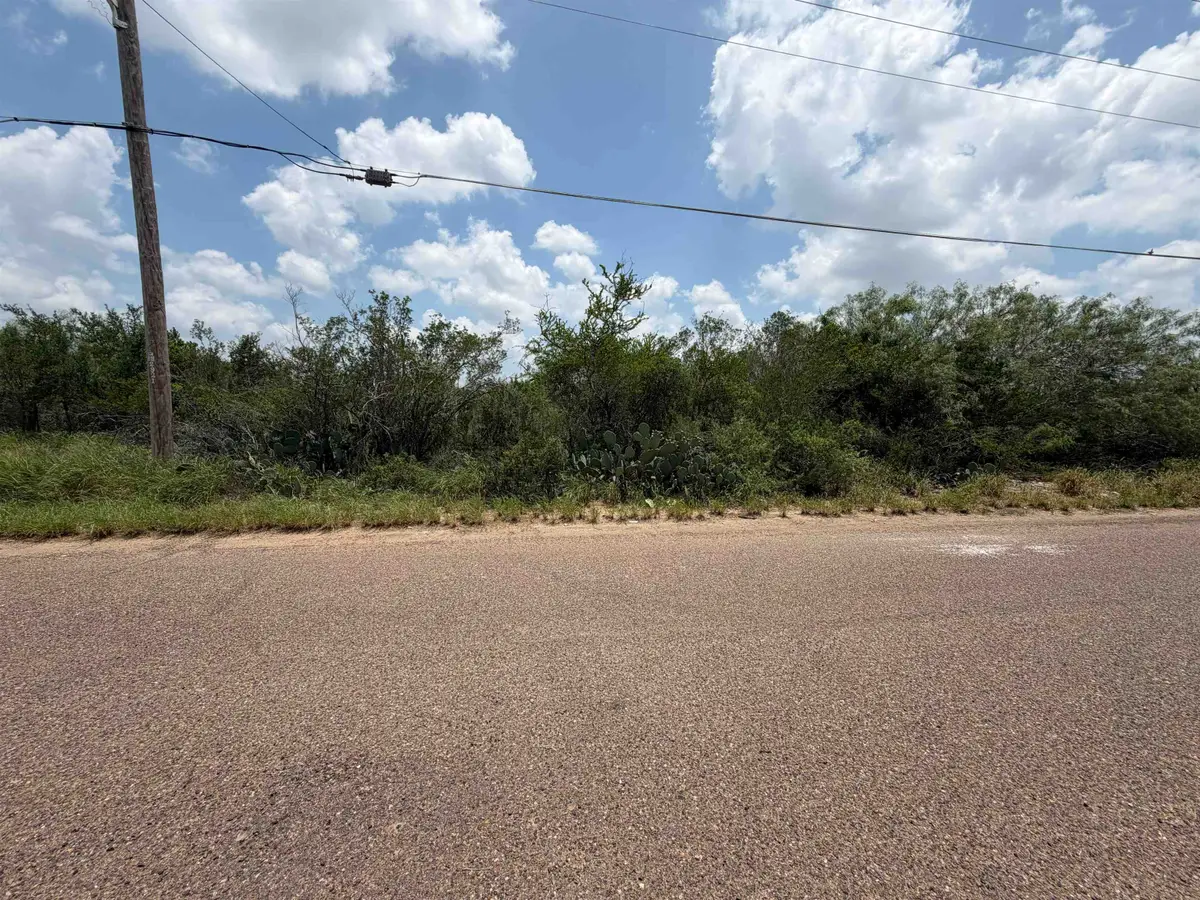 5128 Pena Ln, Zapata, TX 78076 - #1