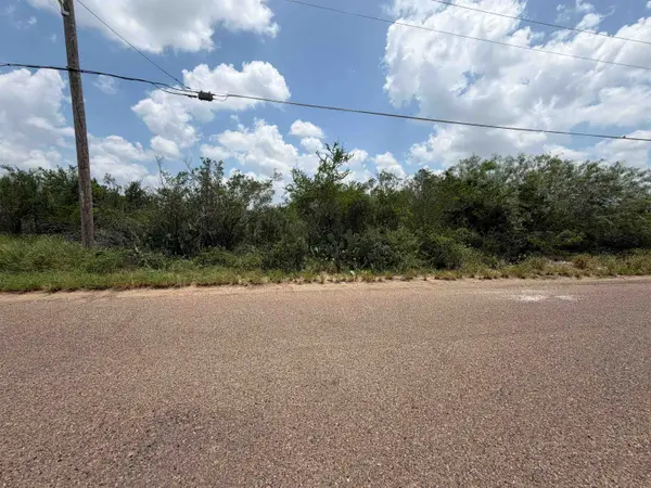 5128 Pena Ln, Zapata, TX 78076