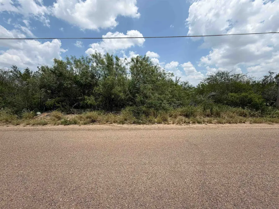 5128 Pena Ln, Zapata, TX 78076 - #3