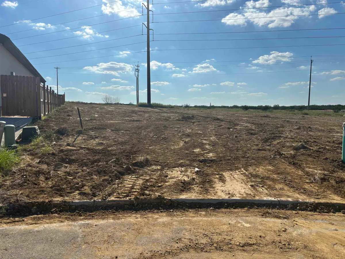 6901 Molinos Dr, Laredo, TX 78046 - #1
