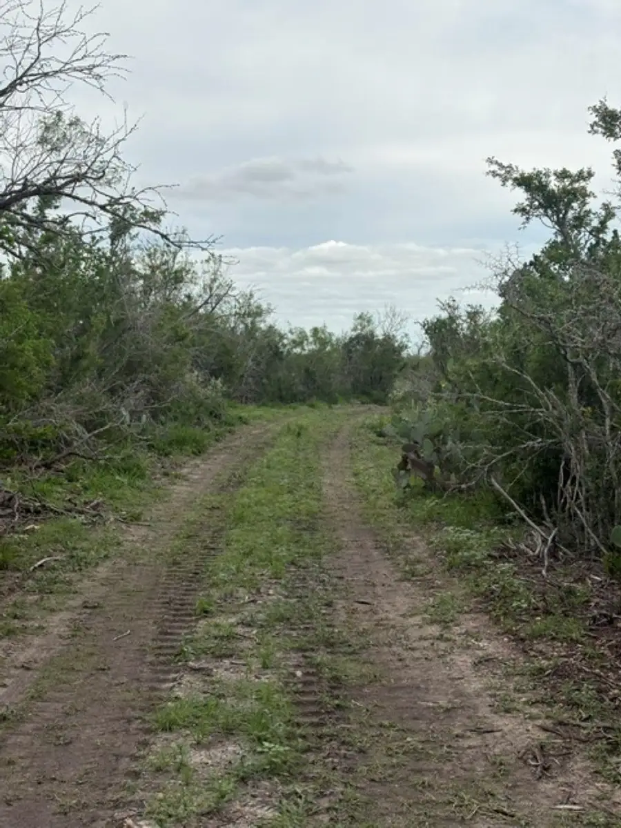 1065 S A-735 S-46 E L Taylor(35.00 ACS), Tilden, TX 78072 - #2