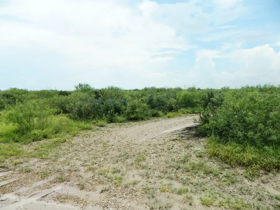 Lot 72 Blk 11 Colorado ACS, Laredo, TX 78044 - #2