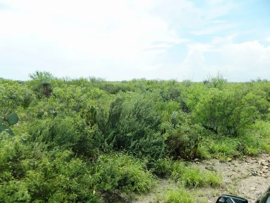 Lot 72 Blk 11 Colorado ACS, Laredo, TX 78044 - #3
