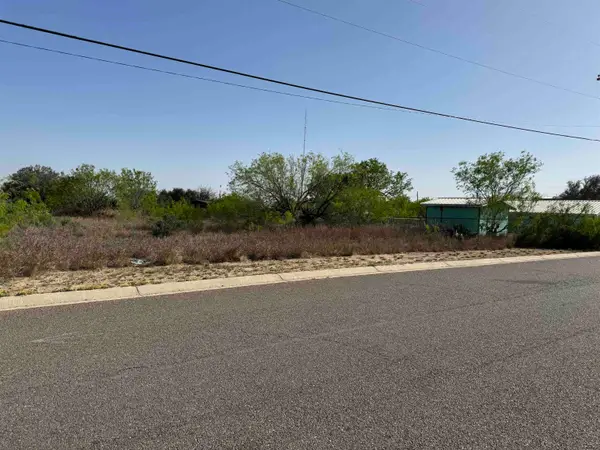 2605 Glenn St, Zapata, TX 78075