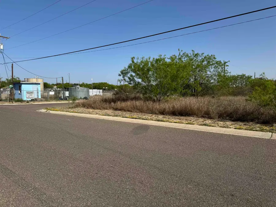 2605 Glenn St, Zapata, TX 78075 - #2